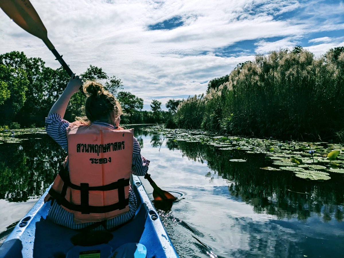 Adelaide Welden tweet media