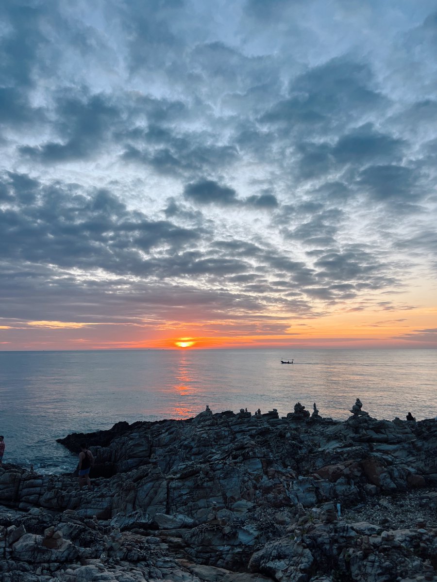 Adelaide Welden tweet media