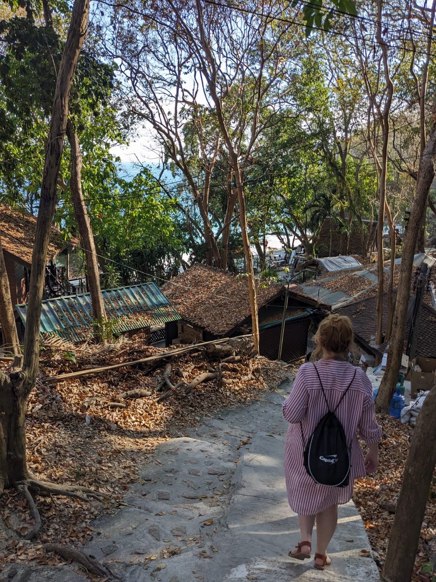 Adelaide Welden tweet media