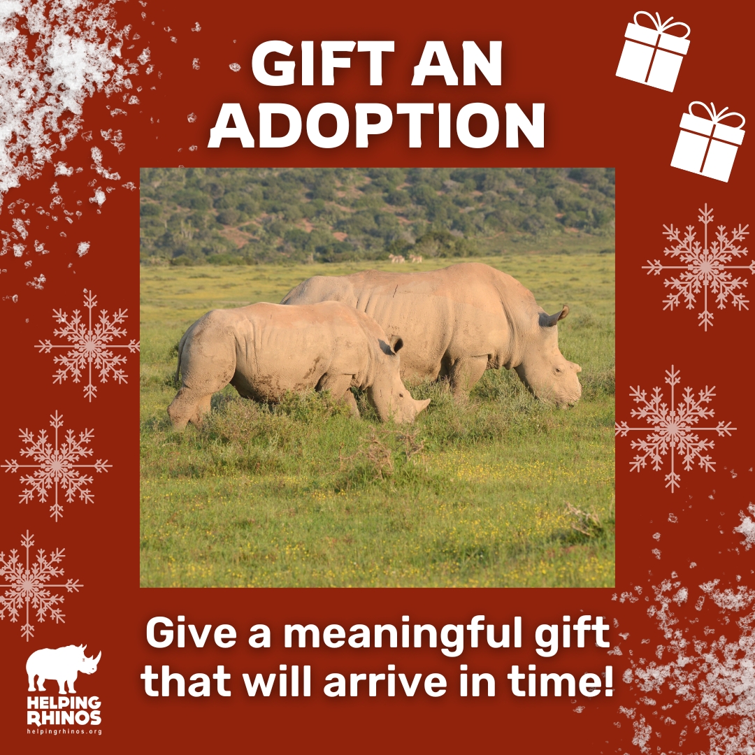 There's just one week until #Christmas, but it's not too late to purchase a meaningful last-minute gift that really makes an impact for #rhinoconservation, and will arrive in time! Gift an Adoption and spread the Christmas joy that much further 🦏
helpingrhinos.org/adoption-centre