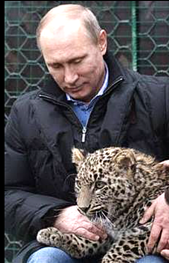 Laura Jamieson tweet media