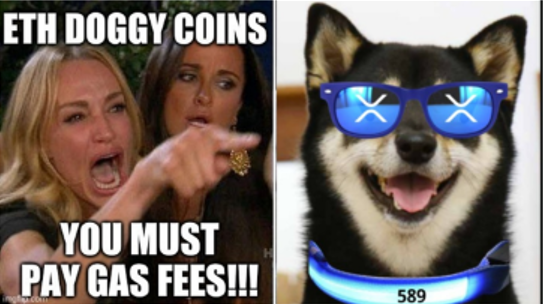 MMoonboi589's tweet photo. In honour of the #rebirth of the #Moonboi589 Community &amp; the #Moongirl589 1:1 Airdrop:

 A little #XRPL memecoin history

Below is the first ever $XRdoge meme 

Created by @NoteMateriality  the founder of #Moonboi59 Community

The meme that launched a $200m token. lmao. https://t.co/hXGnGoQMIS