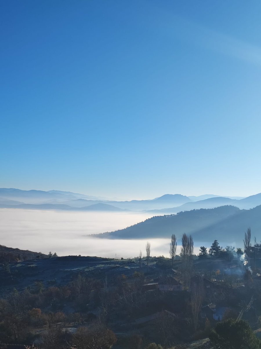 ___Kamer's tweet photo. "Bir insanın sizi ne kadar sevdiği; 
gösterdiği ilgiden, girdiği riskten ve verdiği mücadeleden belli olur.."

- Oscar Wilde🩵✨️ https://t.co/fFncmExh1Q