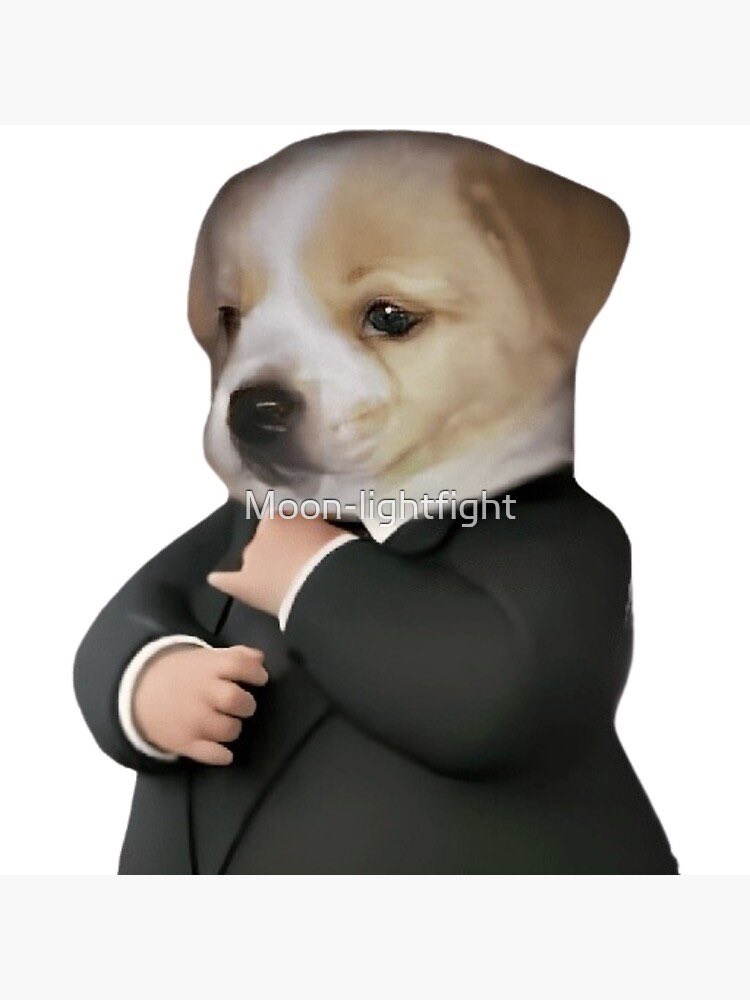 la olarizu tweet media