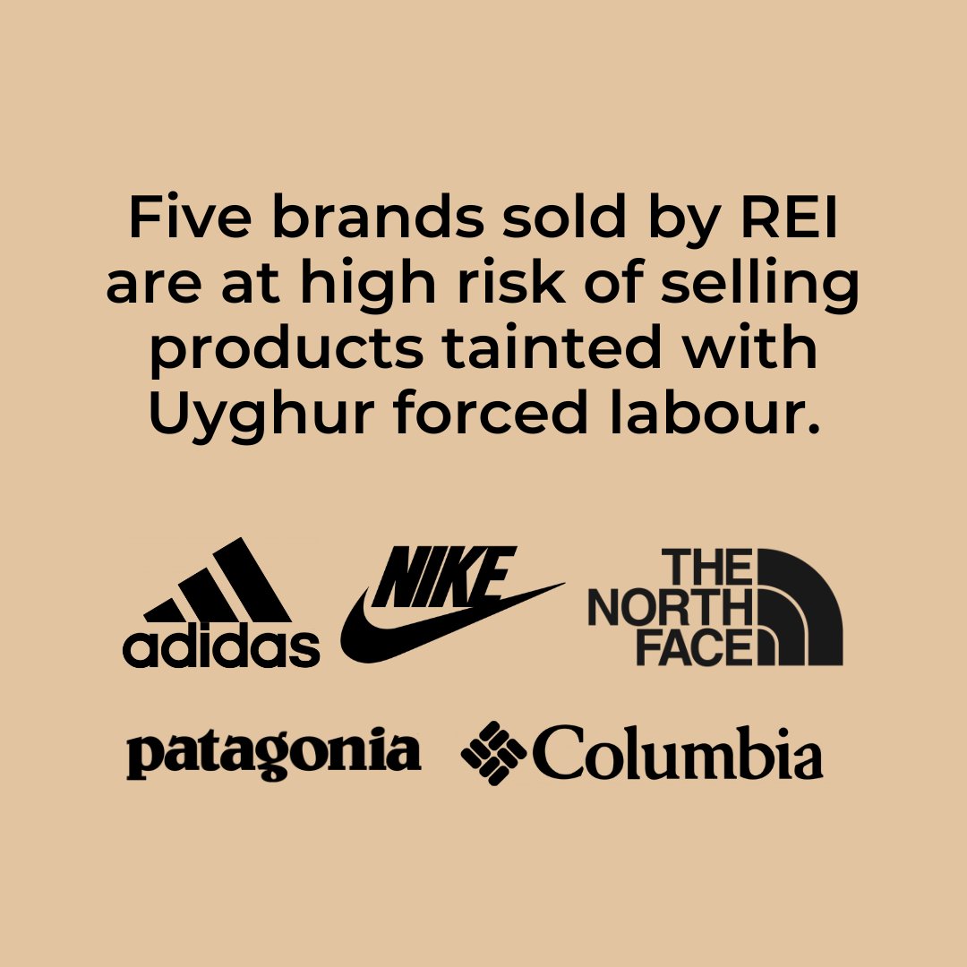 End Forced Labour Fashion (@forcdlabourfash) on Twitter photo .<a href="/REI/">REI</a> is not as sustainable or ethical as it claims to be. REI profits from forced labour, forced overtime, subpoverty wages, & union busting. At least 5 brands REI sells have a high rate of exposure to #UyghurForcedLabour: <a href="/adidas/">adidas</a> <a href="/Nike/">Nike</a> <a href="/Columbia1938/">columbia1938</a> <a href="/patagonia/">Patagonia</a> <a href="/thenorthface/">The North Face</a>. .<a href="/REI/">REI</a> is not as sustainable or ethical as it claims to be. REI profits from forced labour, forced overtime, subpoverty wages, & union busting. At least 5 brands REI sells have a high rate of exposure to #UyghurForcedLabour: <a href="/adidas/">adidas</a> <a href="/Nike/">Nike</a> <a href="/Columbia1938/">columbia1938</a> <a href="/patagonia/">Patagonia</a> <a href="/thenorthface/">The North Face</a>.
