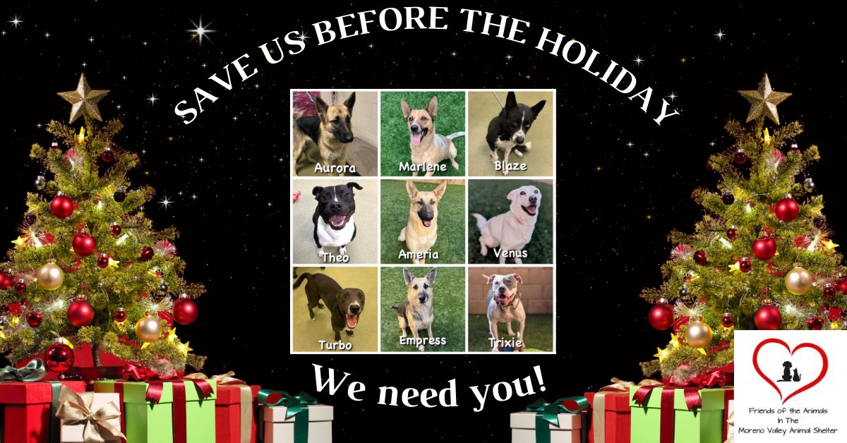911 URGENT - Dogs signed off on, medical needs, past deadline bit.ly/49FRE9c
☎️ 951.413.3790 Moreno Valley Animal Shelter 
14041 Elsworth, Moreno Valley #California 
#DOGS #morenovalley #urgentdogs #AdoptDontShop #euthlist #southernCA