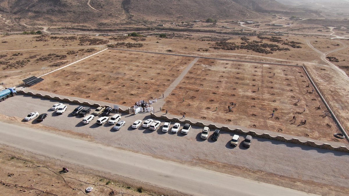 هيئة البيئة 
تدشن اليوم حديقة بيئيه للأشجار التبلدي  في  مرباط وزراعتها بأكثر من ١٥٠ شجرة  تبلدي على امتداد الحديقه الطبيعية للاشجار التبلدي المعمرة في وادي حشير  وكل ذلك بالإضافة إلى حديقة اللبان في مودام وحديقة المر العربي في مضي وحديقة العيريب في رخيوت  وحديقة الكاذي في ضلكوت