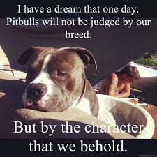FAFOtheFirst's tweet photo. Ban breed specific legislation!
#PitPack #PitbullPatrol #FAFOandFriends https://t.co/1vFubSShcU