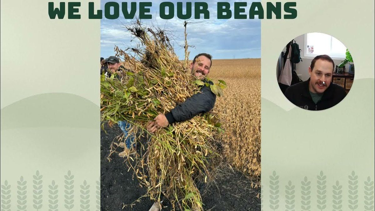 As Jacques Remillard predicted it in June - We had a mega bean year!  From high yields to must-try varieties, find out the strategies that defined this standout season for soybean growers.
👀 📽️  buff.ly/4iuv0ET 
#soybeans #welovebeans #agronomy #westcdnag