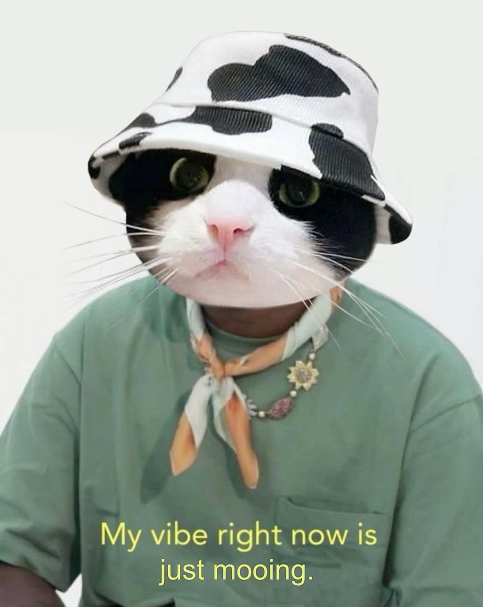 And that's real. 

$MooCat