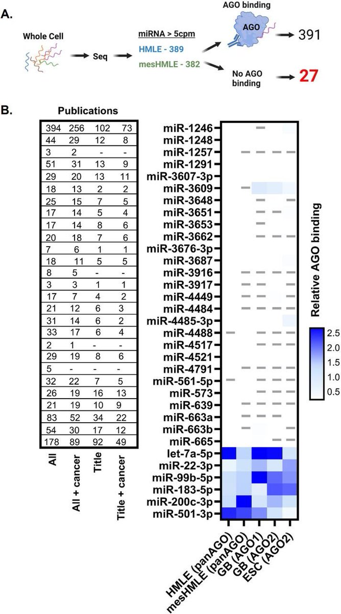 sRNAPapers's tweet image. Chasing non-existent “microRNAs” in cancer biorxiv.org/content/10.110…