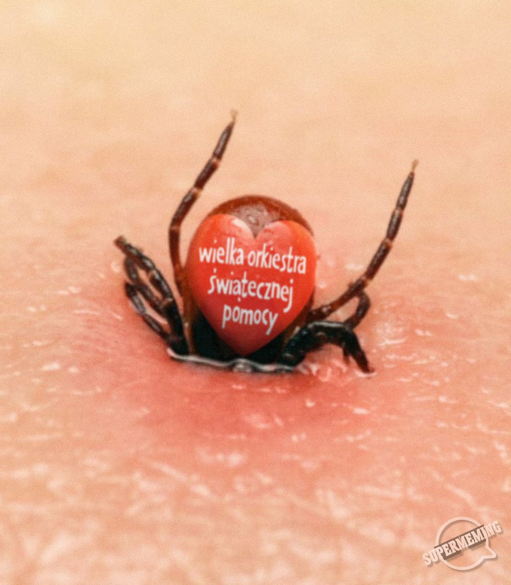 Supermeming (@supermeming) on Twitter photo 