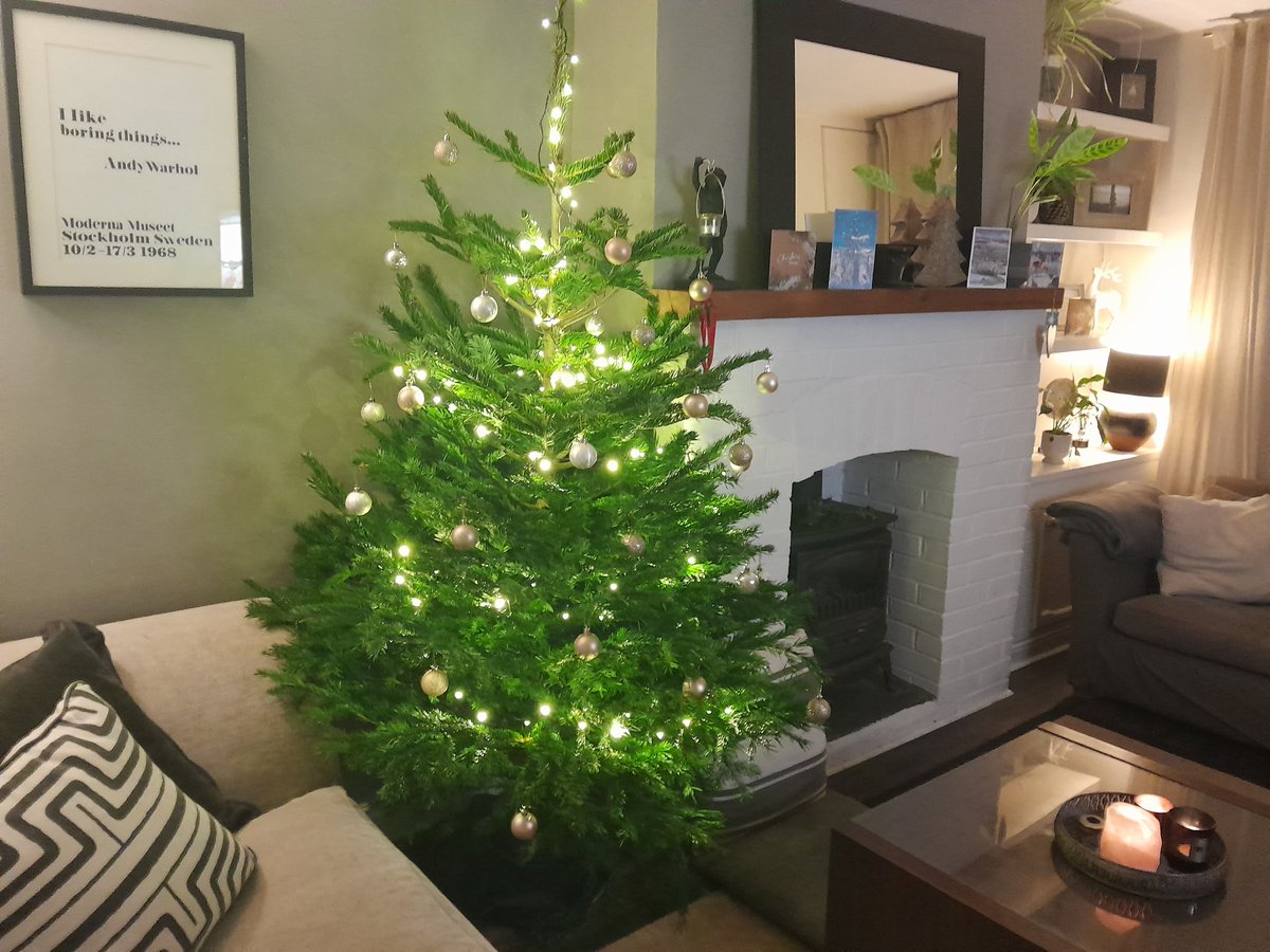 Hellofromhut's tweet photo. All cut Christmas trees are now just £5 each at all @bmstores they net it and carry it to your car too! #ThisIsHut @Cassiefairy @SkintDad 
Pot grown trees are half price. https://t.co/qHr0hkZrcQ