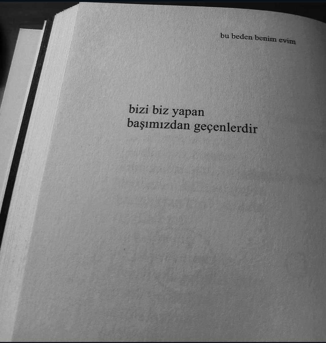 ✨ (@wtfliil) on Twitter photo 