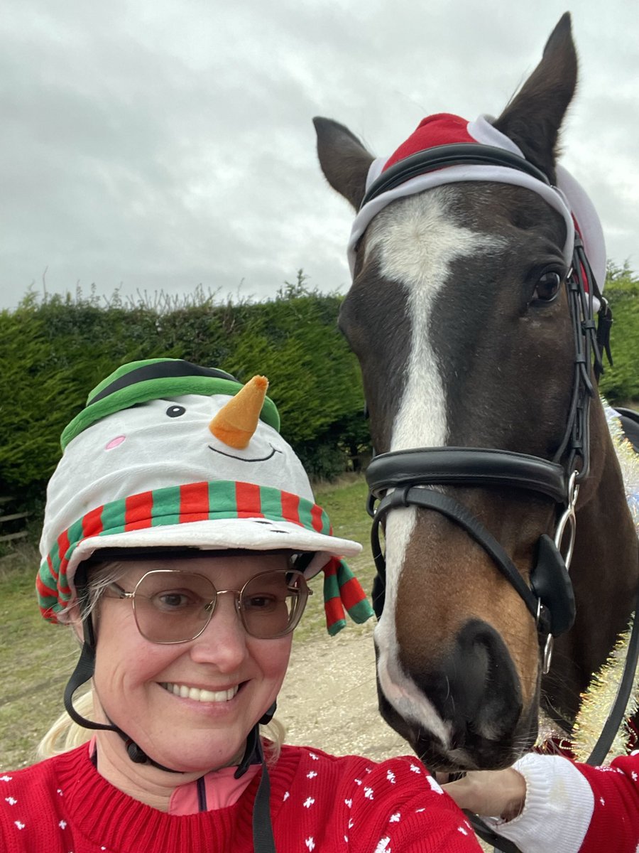 Ned jumped his best round for me whilst draped in tinsel and bows in his plaits!! 🎀

Is this the only way forward 🤦‍♀️🤣🐎🥕🥕