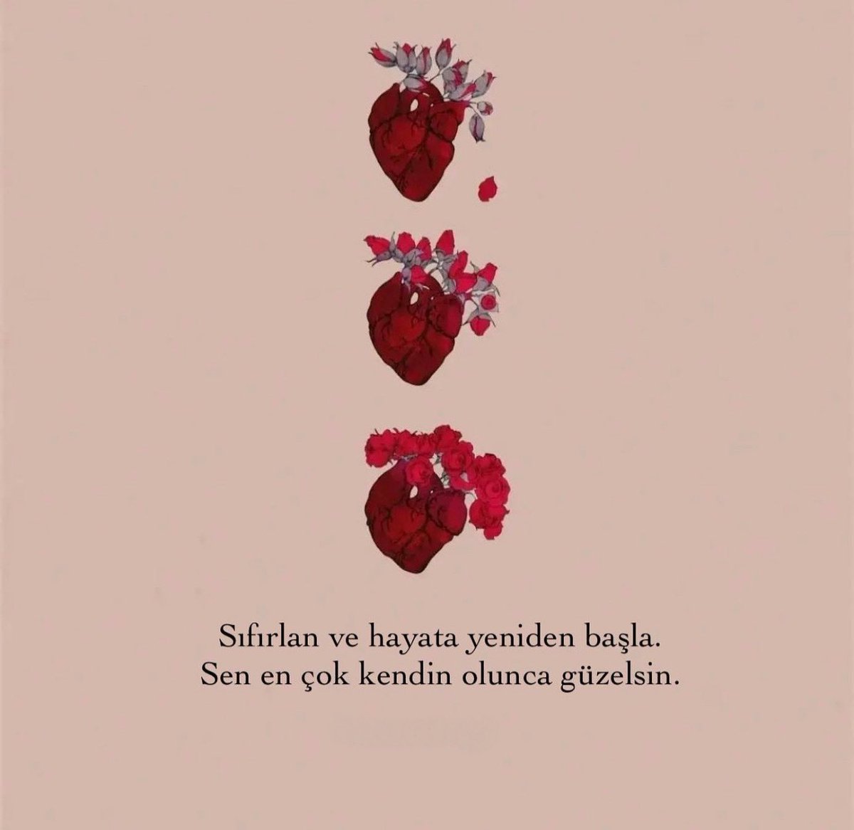 pozitifpsklj's tweet photo. https://t.co/DP7mw5IeDl