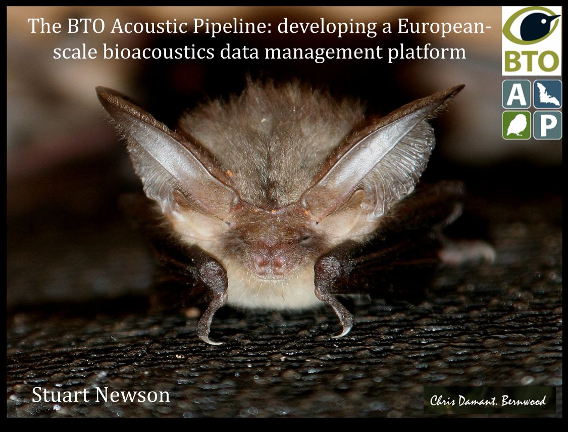 Norfolk & Norwich Bat Group tweet media
