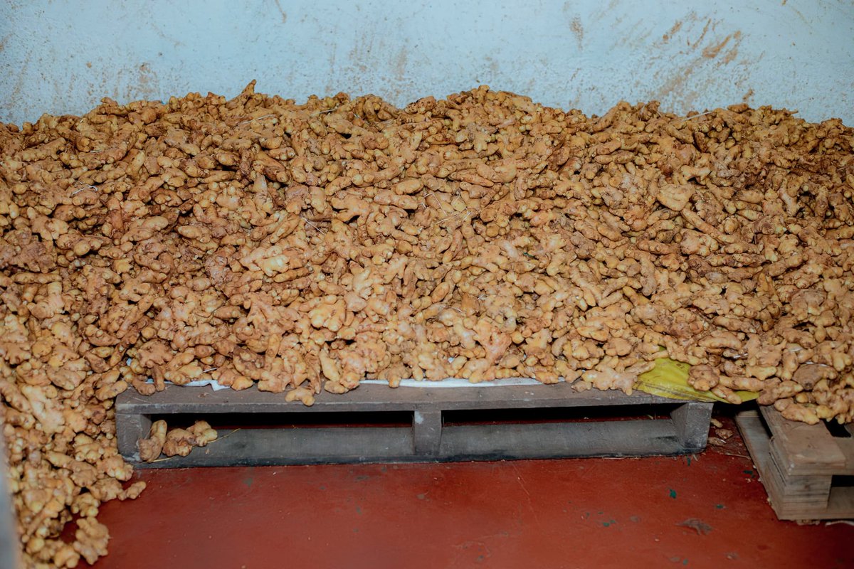 Sibobugingo Joël tweet media