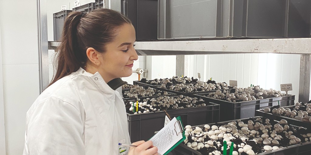 Teagasc (@teagasc) on Twitter photo Bubble trouble? How biocontrol and integrated pest management (IPM) approaches can support the mushroom sector in controlling disease outbreaks. Read more in #TResearch magazine at this link: bit.ly/4gcIOlT
<a href="/JoyHClarke/">Joy Clarke</a> <a href="/MUMycology/">Kavanagh Mycology Lab</a> <a href="/DFitzpatrickMU/">David Fitzpatrick</a> <a href="/TeagascHDD/">Teagasc Horticulture Development Dept</a> Bubble trouble? How biocontrol and integrated pest management (IPM) approaches can support the mushroom sector in controlling disease outbreaks. Read more in #TResearch magazine at this link: bit.ly/4gcIOlT
<a href="/JoyHClarke/">Joy Clarke</a> <a href="/MUMycology/">Kavanagh Mycology Lab</a> <a href="/DFitzpatrickMU/">David Fitzpatrick</a> <a href="/TeagascHDD/">Teagasc Horticulture Development Dept</a>