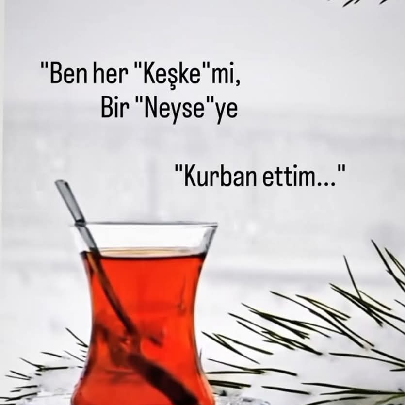 demirc_ayfer's tweet photo. #YeniProfilResmi https://t.co/F1keVGwqMn