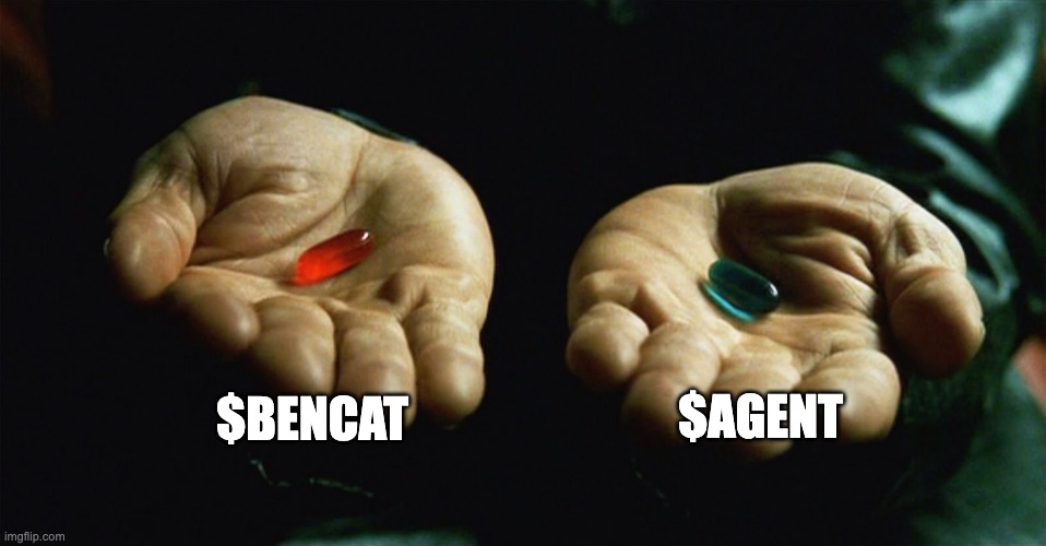 dumpetdotfun's tweet photo. Alright time for some quick fun on @aoTheComputer 
Which AO token will dominate? 🤔
#BENCAT vs #AGENT
Duel ends in 8 hours! ⏳
Deposit and vote using $qAR token👇
https://t.co/pdyJofWPjd
Chat feature is live, whatcha waiting for?
Let's make #DUMPET great again! 🚀
#RespectTheDump https://t.co/kM0EjeRdMj