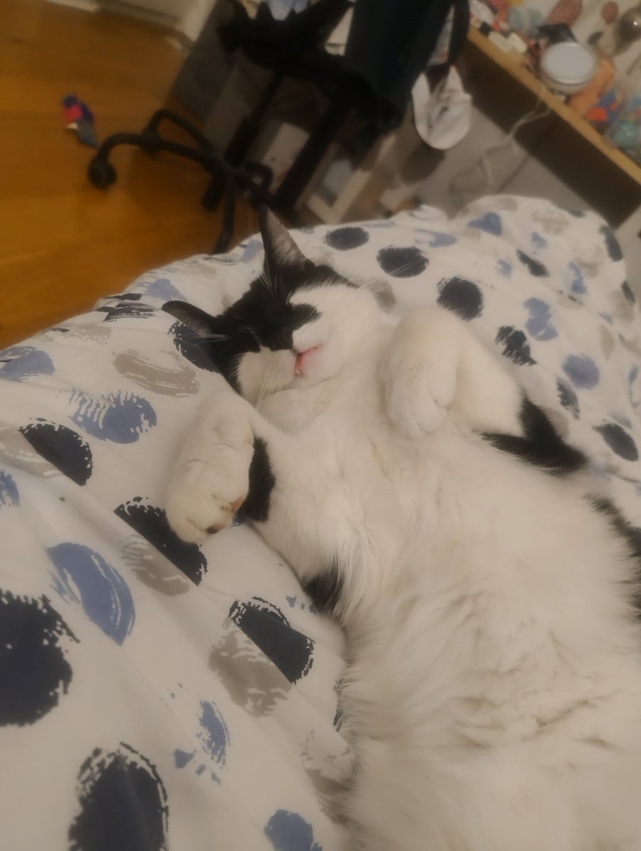 cala-Mar-i 🦑 tweet media