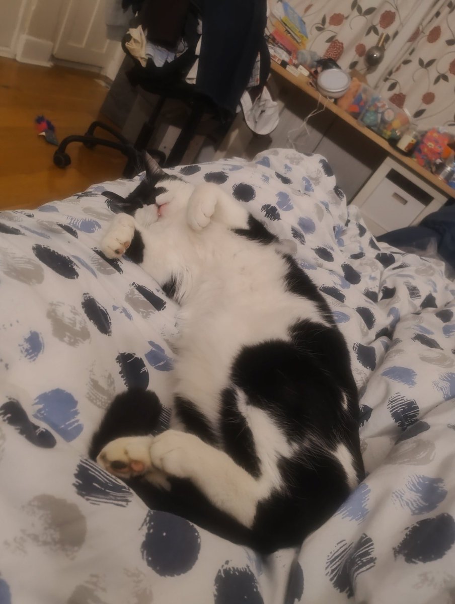 cala-Mar-i 🦑 tweet media