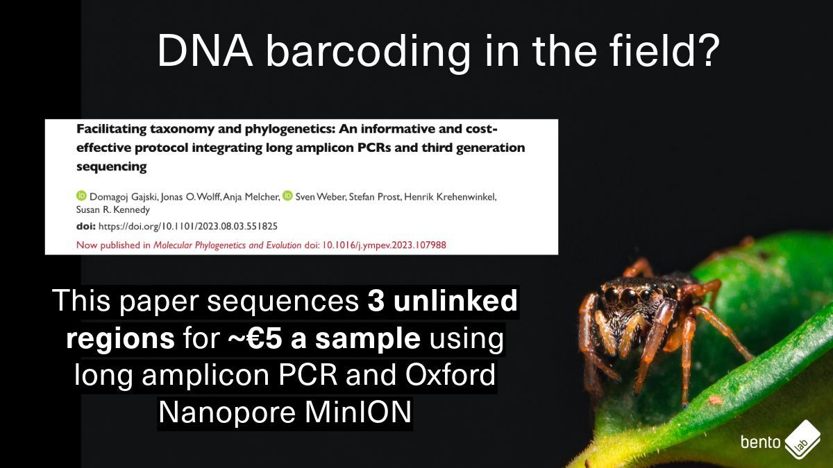 Bento Lab 🧬 tweet media