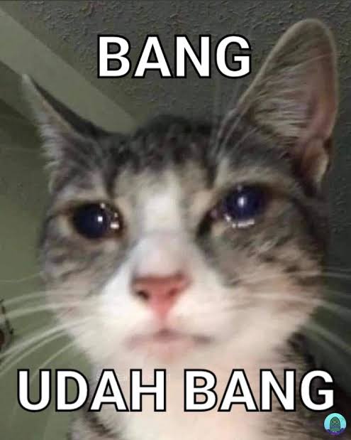 (Anin)Dita tweet media