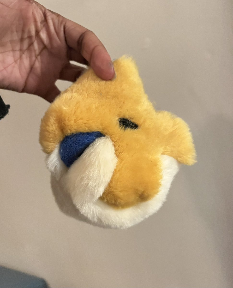 Corgilope tweet media