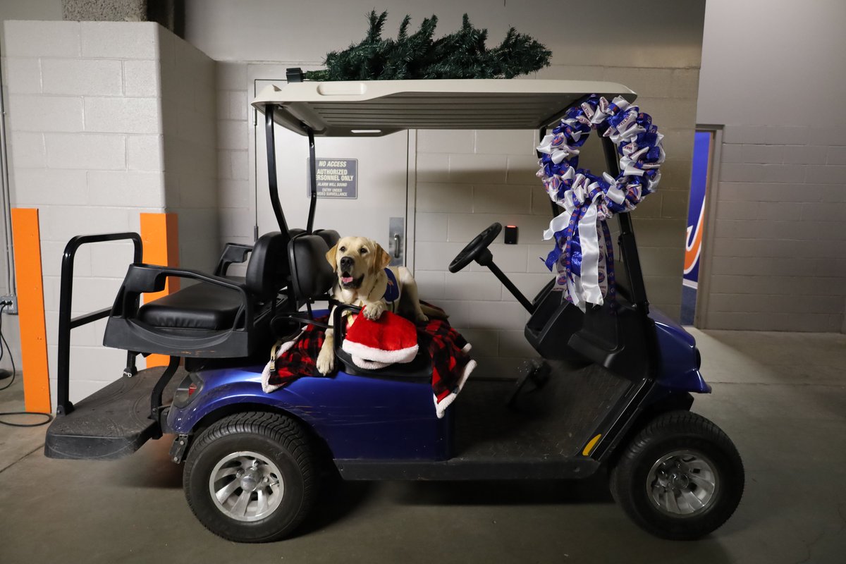 MetsVetDog's tweet photo. Get in! We're going π shopping!! #12DaysofBuddy https://t.co/tbSnrchmvn