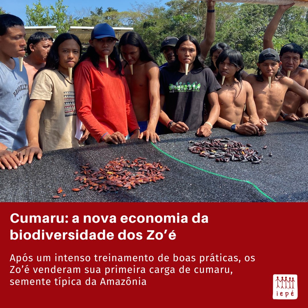 Em novembro os Zo’é realizaram a primeira venda de cumaru da sua história: 188 quilos e meio da semente seca do cumaru embarcaram da Terra Indígena Zo’é em direção a Santarém.

Saiba mais detalhes dessa história na matéria completa no site do Iepé: institutoiepe.org.br/2024/12/cumaru…