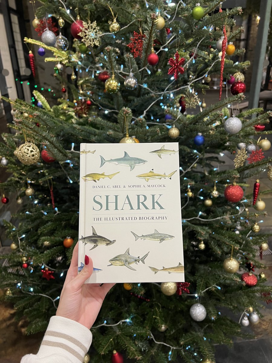 UniPressBooks's tweet photo. Here's your first look at the cover of Shark: The Illustrated Biography, a marvellously illustrated book about the diverse and complex world of these magnificent creatures. 🦈✨

Coming MARCH 2025.

#coverreveal #sharkscience #sharklovers #marinebiology #nonfictionreads #tbrpile https://t.co/vwcJgodnLd