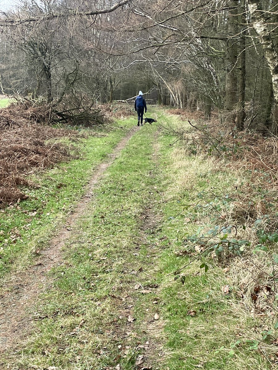 Brodie 🌈 and Bertie tweet media