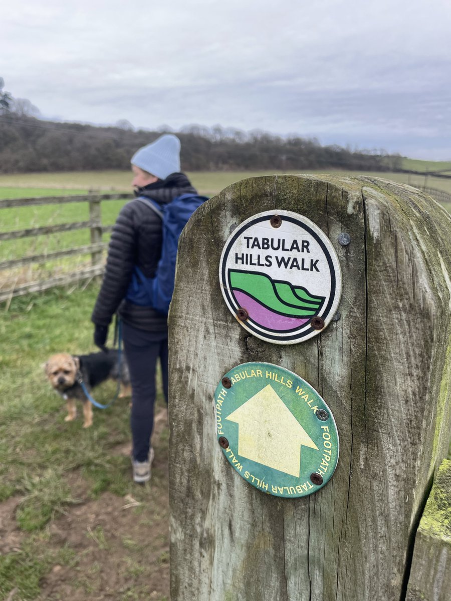 Brodie 🌈 and Bertie tweet media