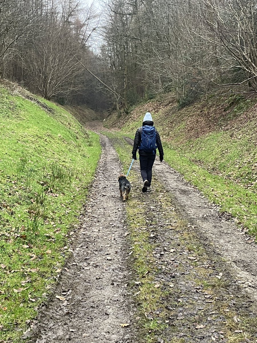 Brodie 🌈 and Bertie tweet media