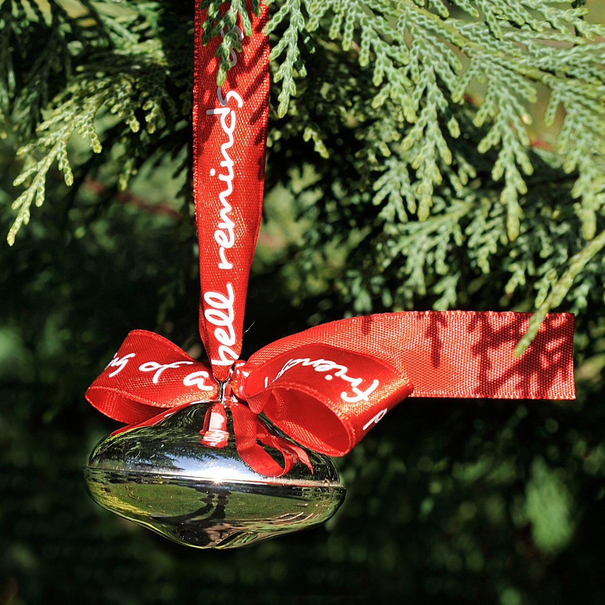 🔔 LAST CHANCE to get your Silver Bells! 🎄

Support #BeaumontHospital this holiday season with a special keepsake💙 Every bell purchased helps us make a difference to patients &amp; families.

📅 Order today to receive on time: beaumontfundraising.ie/category/silve…

#SilverBells #HolidayGiving