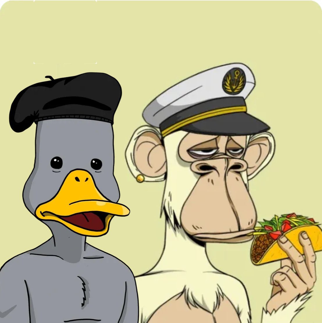 Chanimal 🍌 $APE 🦍 Noya tweet media