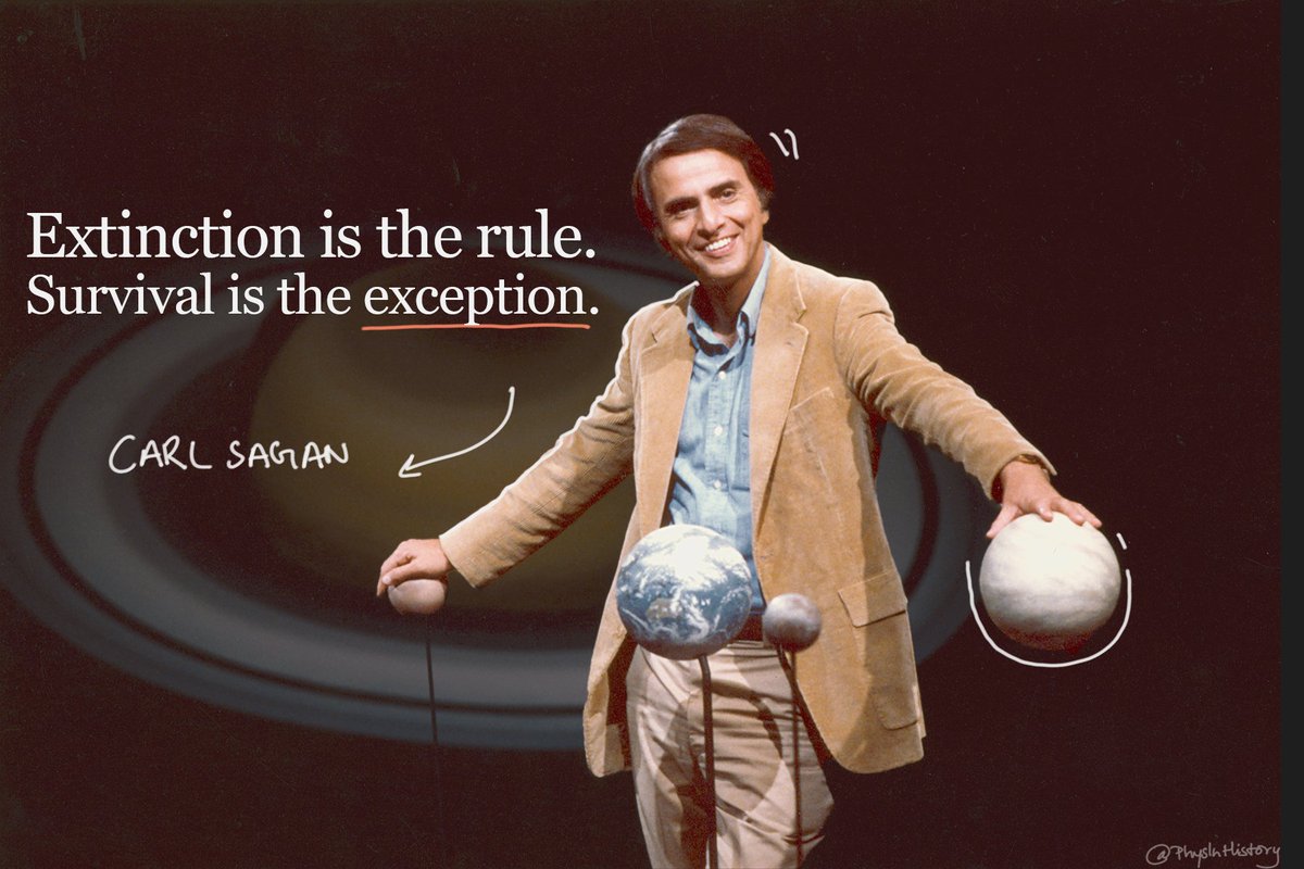 Extinction is the rule.
Survival is the exception.

- Carl Sagan