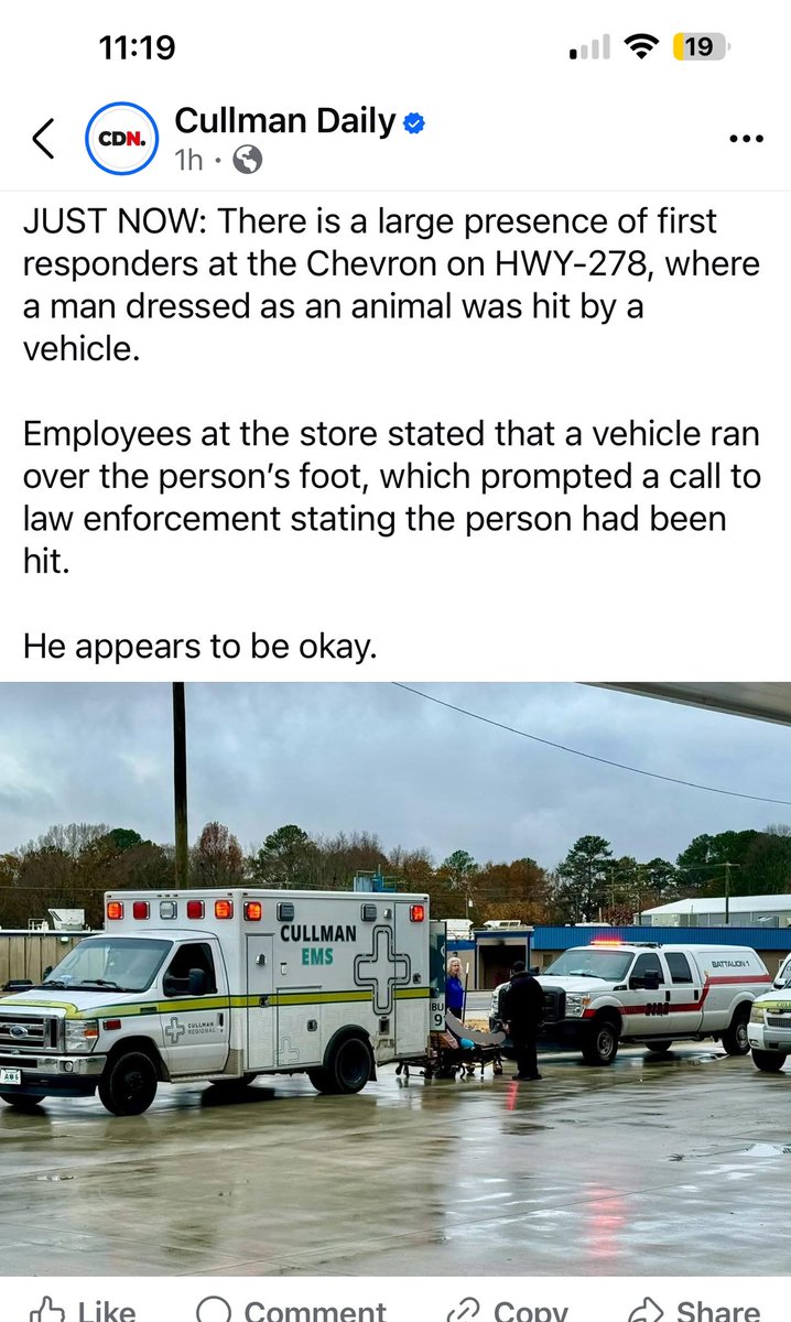 rdrdghood's tweet photo. What kind of lame reporter left out WHAT animal??? I must know!!! https://t.co/DfHplysCXt
