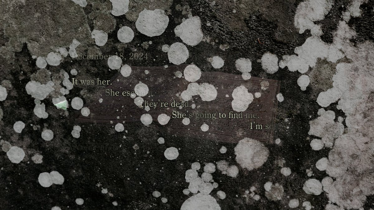 The rest of the pages in the diary are blank...
#AstraAkuhiro #Lore #Teaser