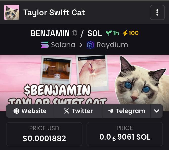 Taylor Swift Cat tweet media