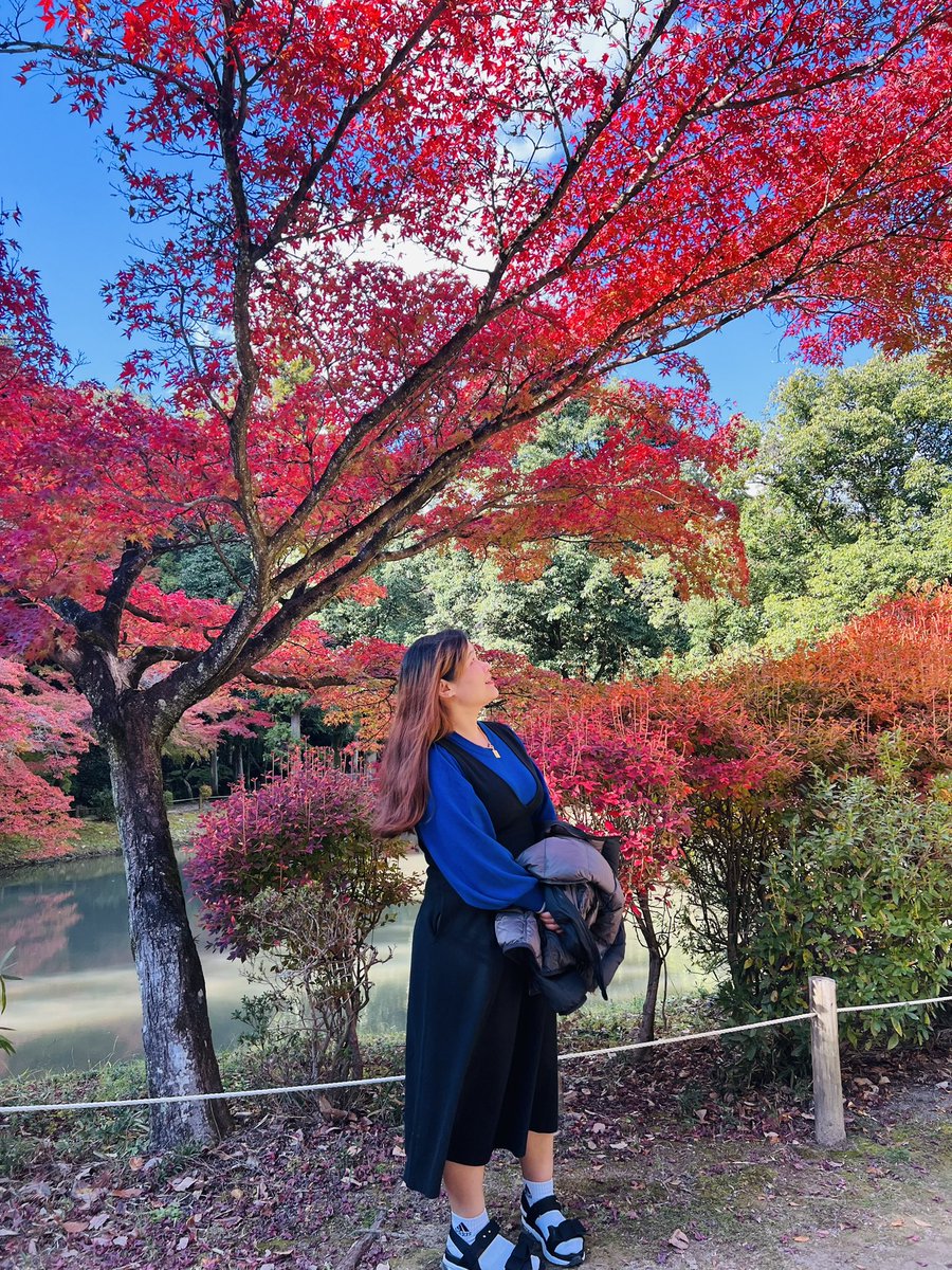 Autumn 🍂