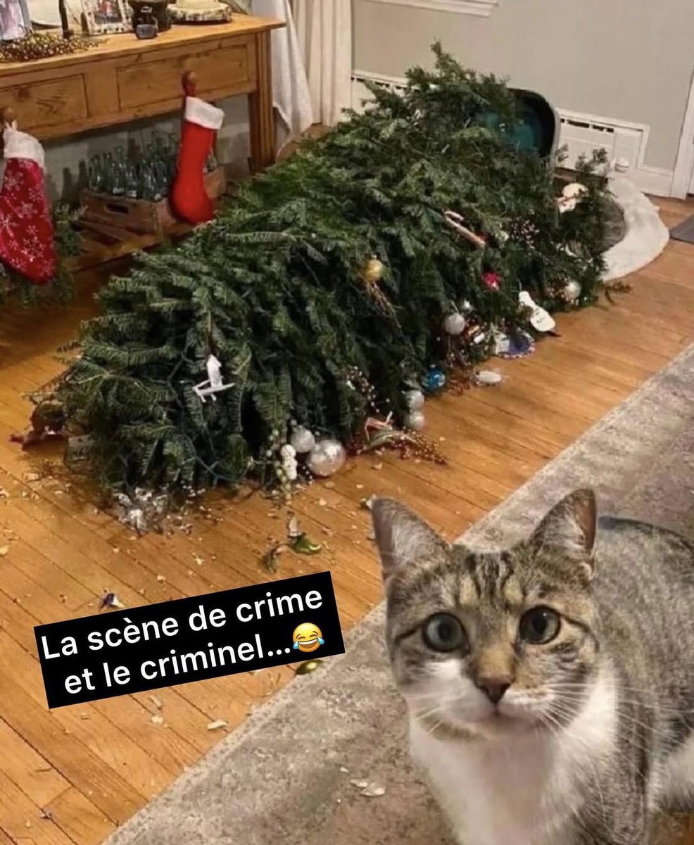 MIXX FM MARTINIQUE (@mixxmartinique) on Twitter photo 