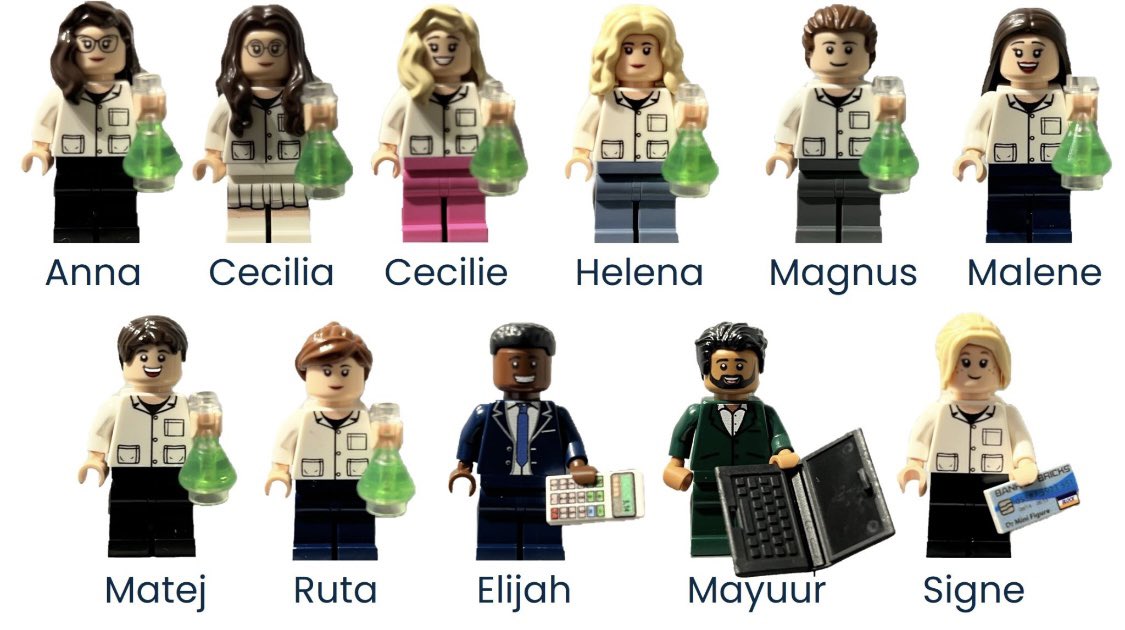 Signe Holm Nielsen (@signehnphd) on Twitter photo My team at <a href="/Nordic_Bio/">Nordic Bioscience</a> look so pretty in Lego 🎄#chrisrmaspresent #thankful #lego #ecm #biomarkers #dermatology My team at <a href="/Nordic_Bio/">Nordic Bioscience</a> look so pretty in Lego 🎄#chrisrmaspresent #thankful #lego #ecm #biomarkers #dermatology