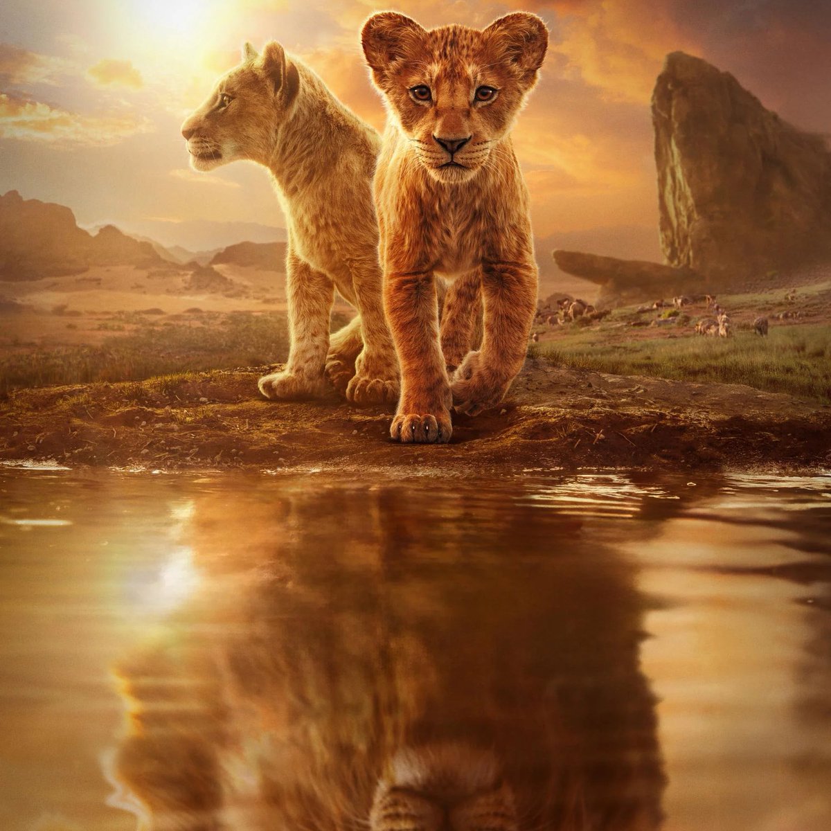 'MUFASA' debuta con una puntuación del 53% en Rotten Tomatoes 🍅 de la crítica especializada.