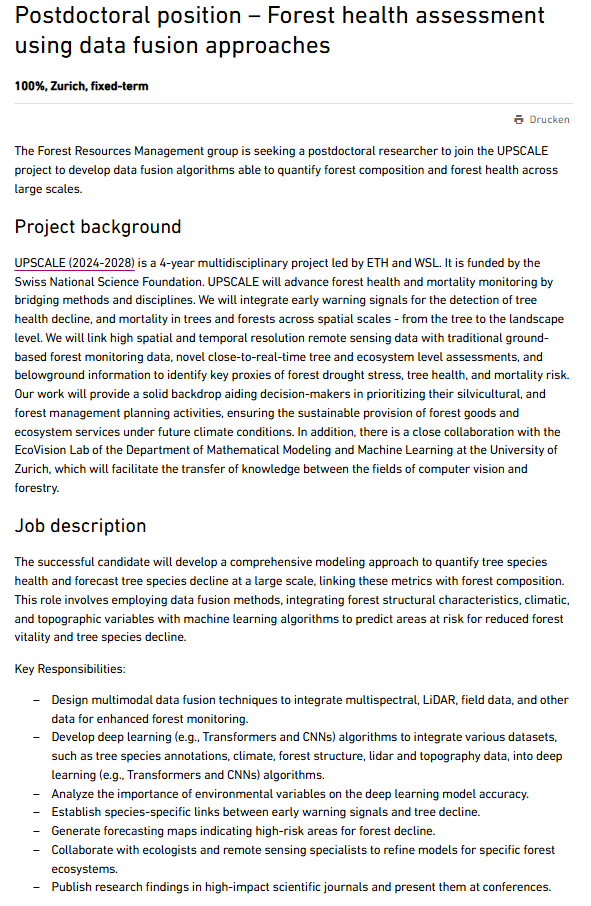 Mirela Beloiu Schwenke tweet media