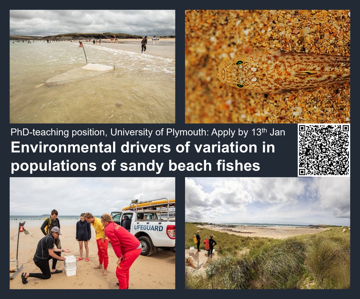 Ben Ciotti (@benciotti) on Twitter photo My research + research-led teaching on surf zone fauna enters year 8
<a href="/PlymUni/">University of Plymouth</a>
. Seeking a #PhD candidate to drive this effort forwards. Beaches are a great natural classroom / lab for marine biology—come join us! plymouth.ac.uk/schools/school……. More projects: hrservices.plymouth.ac.uk/tlive_webrecru… My research + research-led teaching on surf zone fauna enters year 8
<a href="/PlymUni/">University of Plymouth</a>
. Seeking a #PhD candidate to drive this effort forwards. Beaches are a great natural classroom / lab for marine biology—come join us! plymouth.ac.uk/schools/school……. More projects: hrservices.plymouth.ac.uk/tlive_webrecru…