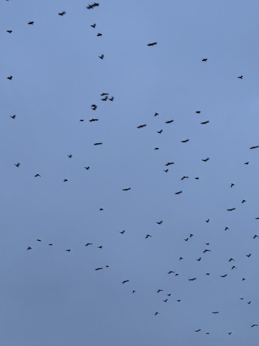 Ladies and gentlemen, did I just see a murder?