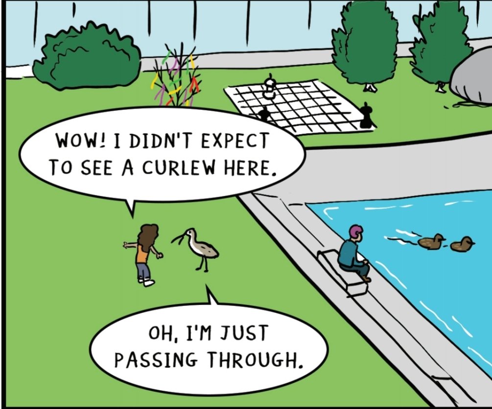 Tom Curran (@thomaspcurran) on Twitter photo Great to see this. We're working on a new comic, out in Feb, from @BioBeo <a href="/biOrbic_centre/">BiOrbic Research Ireland Centre for Bioeconomy</a> based on a bird character Curlew (Crotach, as Gaeilge) from previous 'Finding Beo' comic...
biobeo.eu/meet-beo/ #bioeconomy #BioCultúr Great to see this. We're working on a new comic, out in Feb, from @BioBeo <a href="/biOrbic_centre/">BiOrbic Research Ireland Centre for Bioeconomy</a> based on a bird character Curlew (Crotach, as Gaeilge) from previous 'Finding Beo' comic...
biobeo.eu/meet-beo/ #bioeconomy #BioCultúr